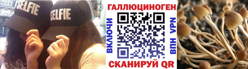 Галлюциногенные грибы Psilocybine cubensis Гурьевск